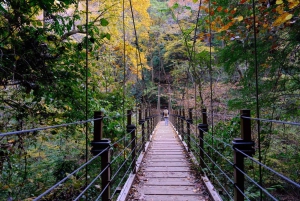 東京高尾山ガイド付きハイキングツアー