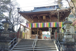 Tokyo : Visite des ruines du château d'Edo et du jardin est du palais impérial