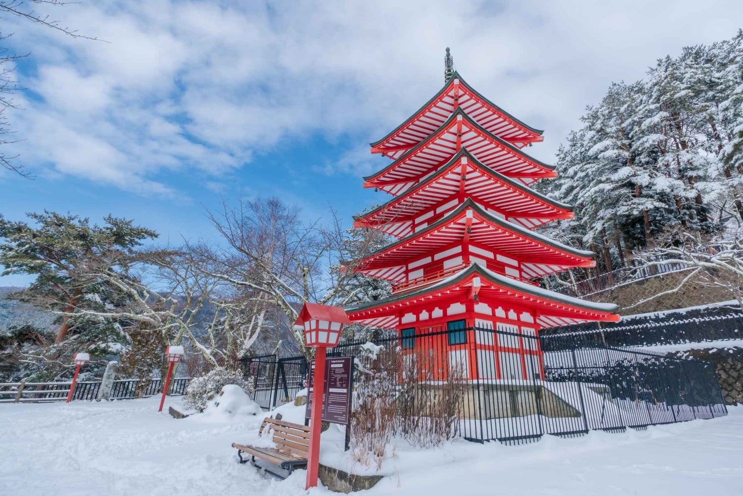 Tokyo: Fuji-bjergets 5. mest populære steder og Sagamiko-belysning