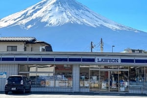 Tokyo: Fuji-bjergets 5. mest populære steder og Sagamiko-belysning