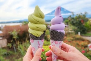 Tokyo: Fuji-bjergets 5. mest populære steder og Sagamiko-belysning