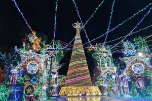 Tokyo: Fuji-bjergets 5. mest populære steder og Sagamiko-belysning