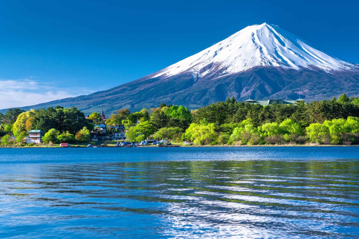 Tokio: Mt. Fuji 5th Station, Kawaguchiko-tour met boottocht