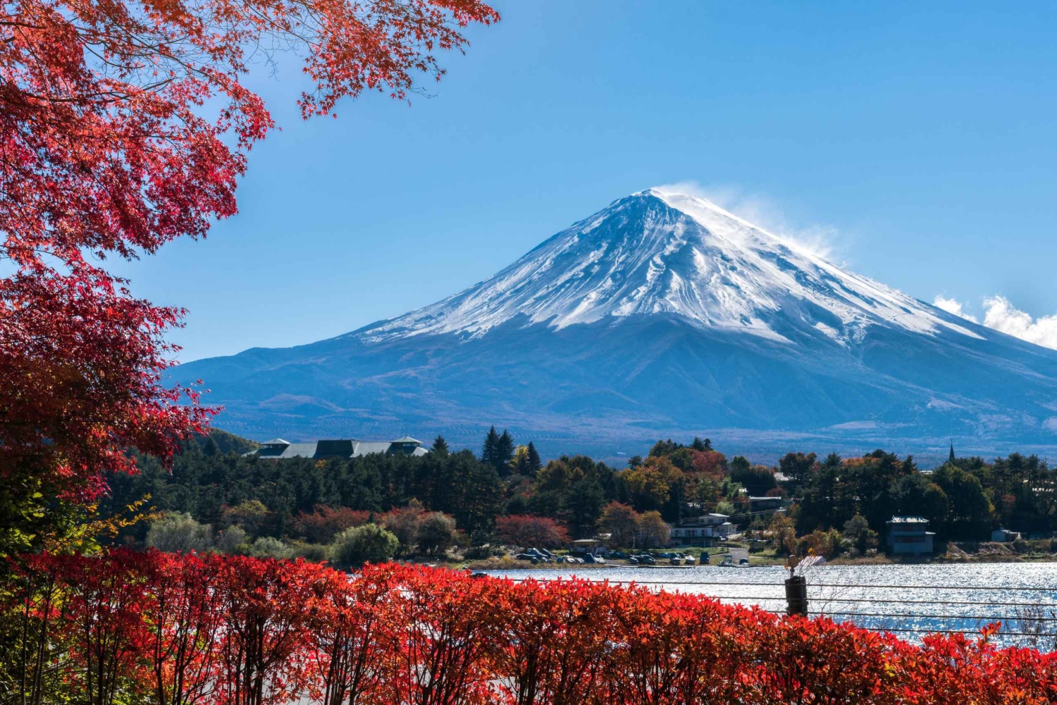 Tokio: Mt. Fuji 5th Station, Kawaguchiko-tour met boottocht