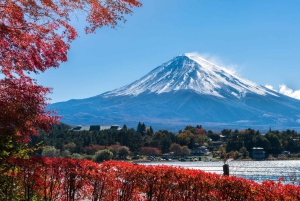 Tokio: Mt. Fuji 5th Station, Kawaguchiko-tour met boottocht