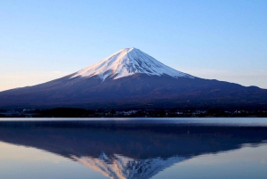Tokio: Mt. Fuji 5th Station, Kawaguchiko-tour met boottocht