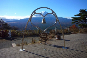 Tokio: Mt. Fuji 5th Station, Kawaguchiko-tour met boottocht