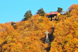 Tokio: Mt. Fuji 5th Station, Kawaguchiko-tour met boottocht