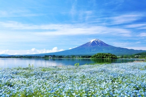 Tokio: Mt. Fuji 5th Station, Kawaguchiko-tour met boottocht