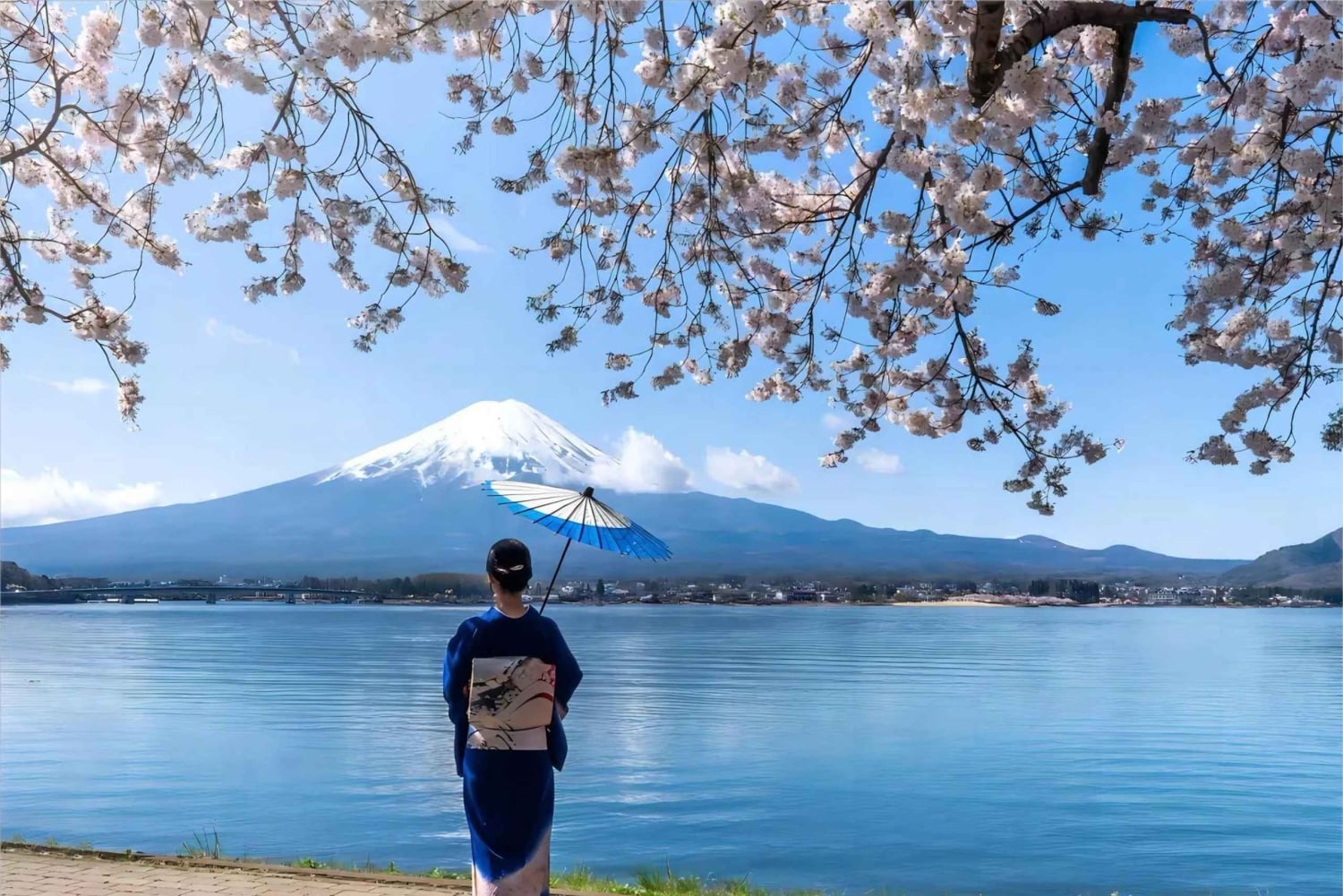 Tokio: dagtrip naar het 5e station van de Fuji en onsen | Seizoensspecial