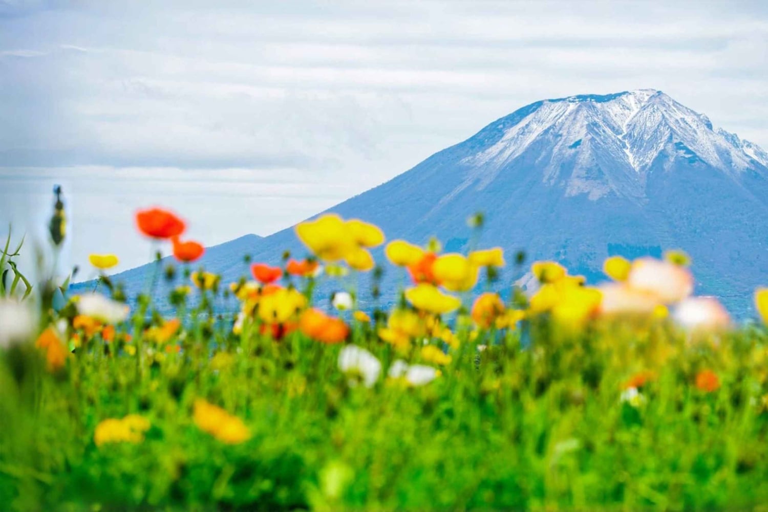 Tokio: dagtrip naar het 5e station van de Fuji en onsen | Seizoensspecial