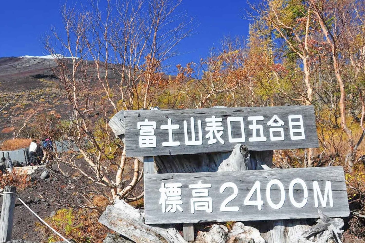 Tokio: dagtrip naar het 5e station van de Fuji en onsen | Seizoensspecial