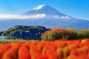 Tokio: dagtrip naar het 5e station van de Fuji en onsen | Seizoensspecial