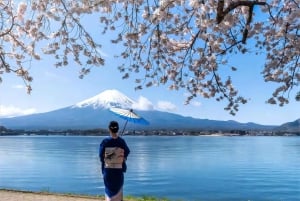 Tokio: dagtrip naar het 5e station van de Fuji en onsen | Seizoensspecial