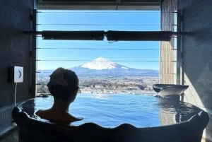 Tokio: dagtrip naar het 5e station van de Fuji en onsen | Seizoensspecial