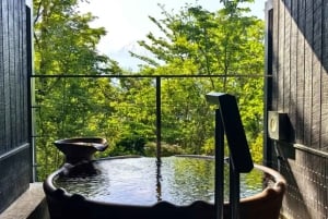 Tokio: dagtrip naar het 5e station van de Fuji en onsen | Seizoensspecial