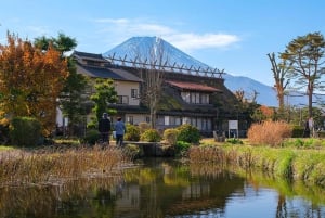 Tokio: dagtrip naar het 5e station van de Fuji en onsen | Seizoensspecial