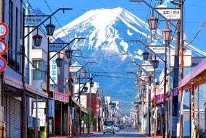 Tokio: dagtrip naar het 5e station van de Fuji en onsen | Seizoensspecial