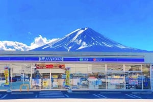 Tokio: dagtrip naar het 5e station van de Fuji en onsen | Seizoensspecial