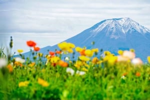 Tokyo: Mt. Fuji 5. stasjon og Onsen dagstur | Sesongspesial