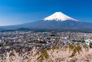 Tokyo: Mt. Fuji 5. stasjon og Onsen dagstur | Sesongspesial
