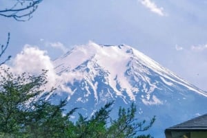 Tokyo: Mt. Fuji 5. stasjon og Onsen dagstur | Sesongspesial