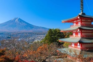 Tokyo: Mt. Fuji 5. stasjon og Onsen dagstur | Sesongspesial