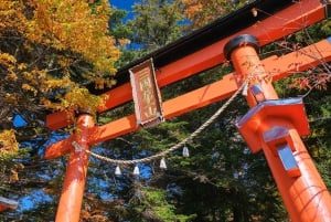 Tokyo: Mt. Fuji 5. stasjon og Onsen dagstur | Sesongspesial