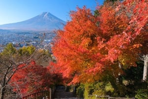 Tokyo: Mt. Fuji 5. stasjon og Onsen dagstur | Sesongspesial