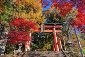 Tokyo: Mt. Fuji 5. stasjon og Onsen dagstur | Sesongspesial