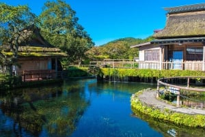 Tokyo: Mt. Fuji 5. stasjon og Onsen dagstur | Sesongspesial