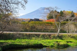 Tokyo: Mt. Fuji 5. stasjon og Onsen dagstur | Sesongspesial