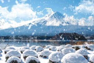 Tokio: el monte Fuji y 6 lugares imprescindibles: Oshino y el lago Kawaguchi