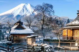 Tokio: el monte Fuji y 6 lugares imprescindibles: Oshino y el lago Kawaguchi