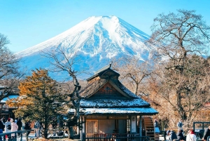 Tokio: el monte Fuji y 6 lugares imprescindibles: Oshino y el lago Kawaguchi