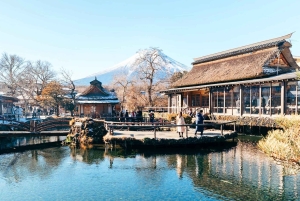 Tokio: el monte Fuji y 6 lugares imprescindibles: Oshino y el lago Kawaguchi