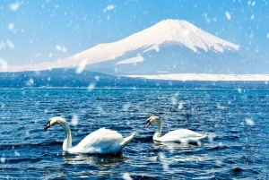 Tokio: el monte Fuji y 6 lugares imprescindibles: Oshino y el lago Kawaguchi