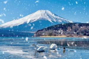 Tokio: el monte Fuji y 6 lugares imprescindibles: Oshino y el lago Kawaguchi