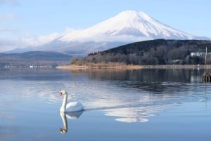 Tokyo: 6 punti panoramici del Monte Fuji - Lago Yamanaka, Oshino Hakkai
