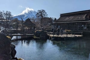 Tokio: Wycieczka na górę Fuji i do Hakone z kolejką linową i rejsem