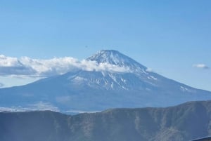 Tokio: Wycieczka na górę Fuji i do Hakone z kolejką linową i rejsem
