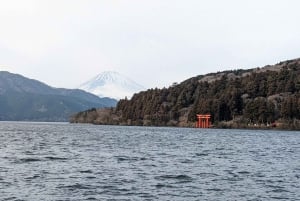 Tokio: Wycieczka na górę Fuji i do Hakone z kolejką linową i rejsem