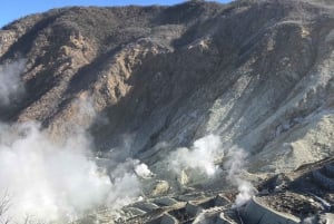 Tokio: Wycieczka na górę Fuji i do Hakone z kolejką linową i rejsem