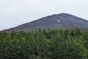 Tokio: Wycieczka na górę Fuji i do Hakone z kolejką linową i rejsem
