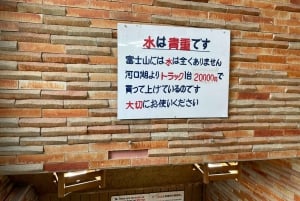 Tokio: Wycieczka na górę Fuji i do Hakone z kolejką linową i rejsem