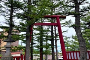 Tokio: Wycieczka na górę Fuji i do Hakone z kolejką linową i rejsem