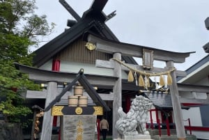 Tokio: Wycieczka na górę Fuji i do Hakone z kolejką linową i rejsem