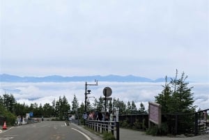 Tokio: Wycieczka na górę Fuji i do Hakone z kolejką linową i rejsem