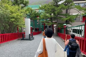 Tokio: Wycieczka na górę Fuji i do Hakone z kolejką linową i rejsem