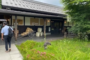 Tokio: Wycieczka na górę Fuji i do Hakone z kolejką linową i rejsem